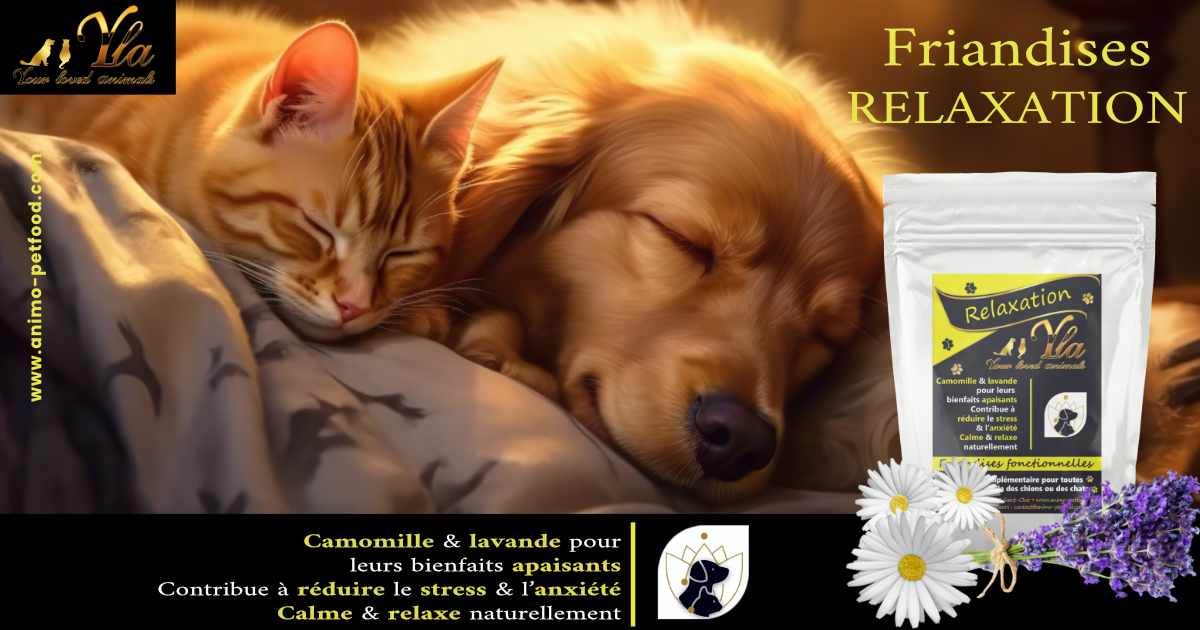 friandises-relaxation-a-la-camomille-pour-chiens-et-chats